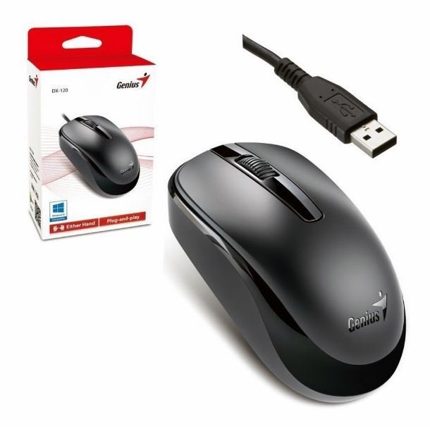 Mouse Genius óptico DX120 Usb